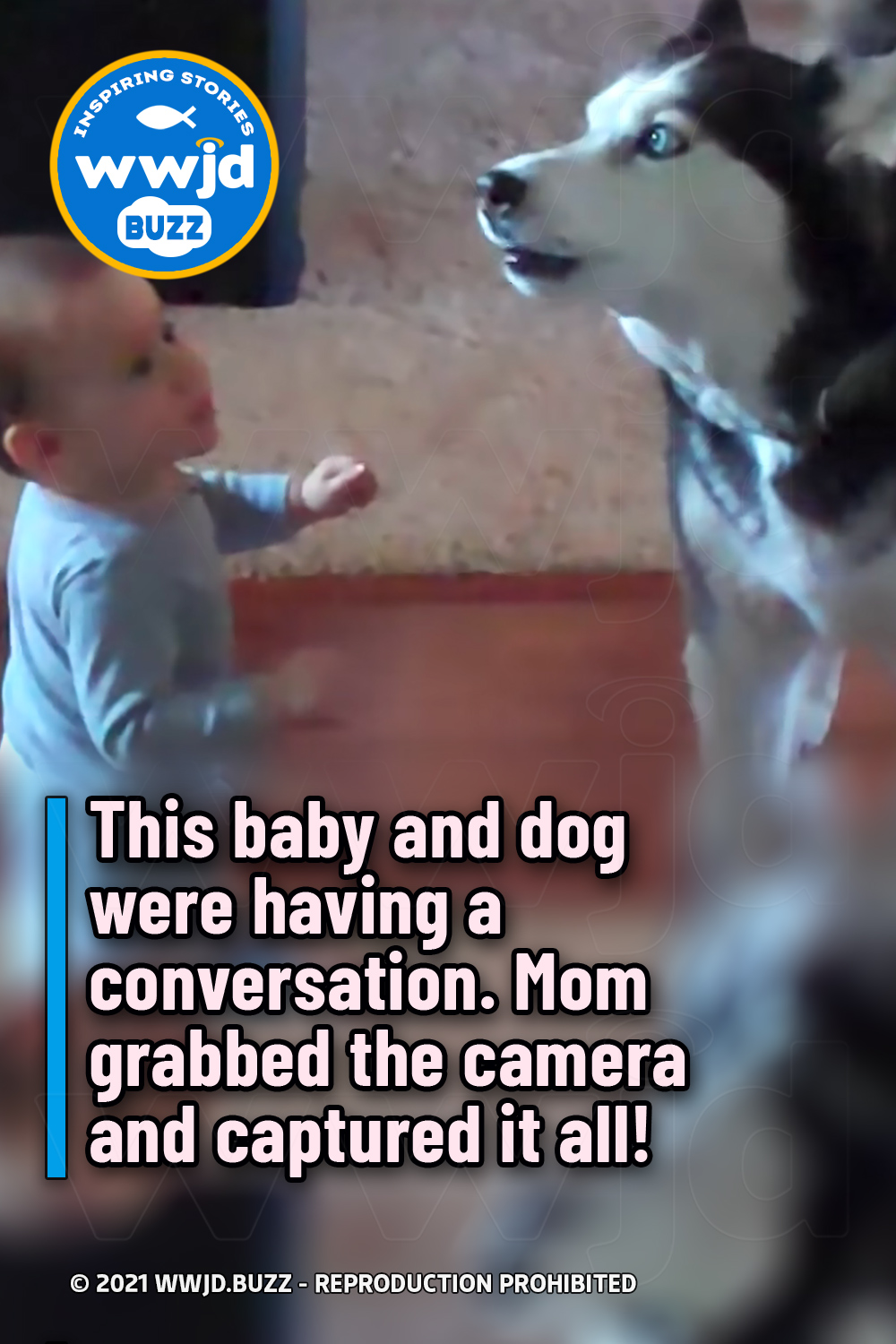 This baby and dog were having a conversation. Mom grabbed the camera and captured it all!