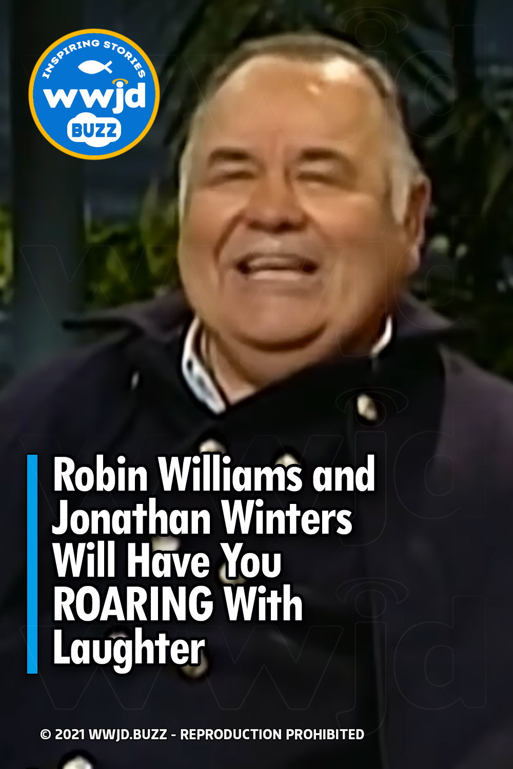 Robin Williams and Jonathan Winters Will Have You ROARING With Laughter