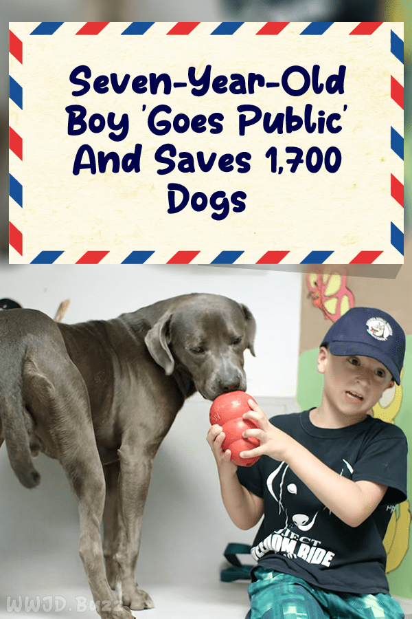 Seven-Year-Old Boy \'Goes Public\' And Saves 1,700 Dogs