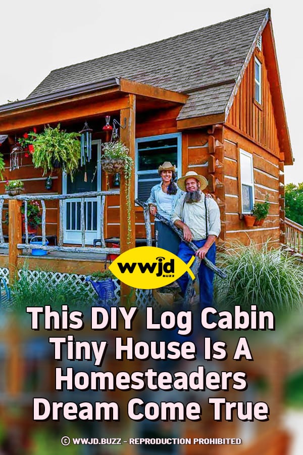 This DIY Log Cabin Tiny House Is A Homesteaders Dream Come True