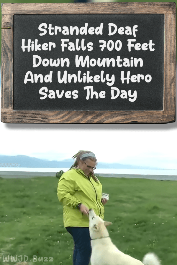 Stranded Deaf Hiker Falls 700 Feet Down Mountain And Unlikely Hero Saves The Day