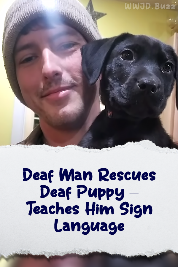 Deaf Man Rescues Deaf Puppy – Teaches Him Sign Language