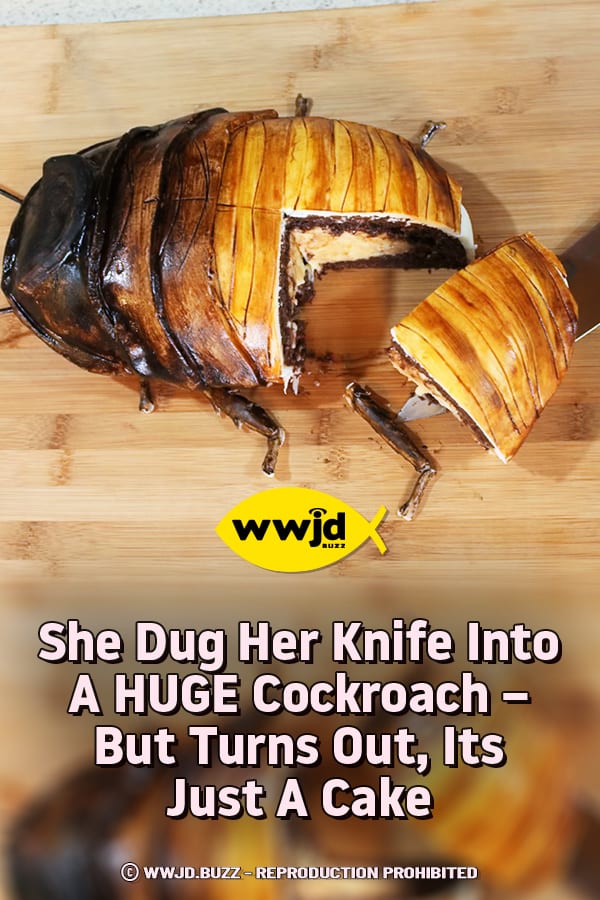She Dug Her Knife Into A HUGE Cockroach – But Turns Out, Its Just A Cake