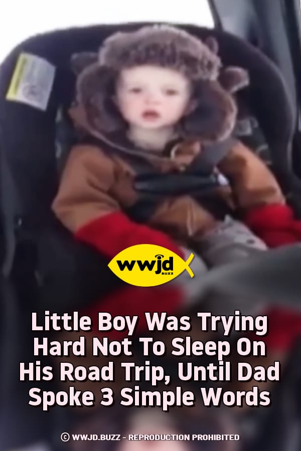 Little Boy Was Trying Hard Not To Sleep On His Road Trip, Until Dad Spoke 3 Simple Words