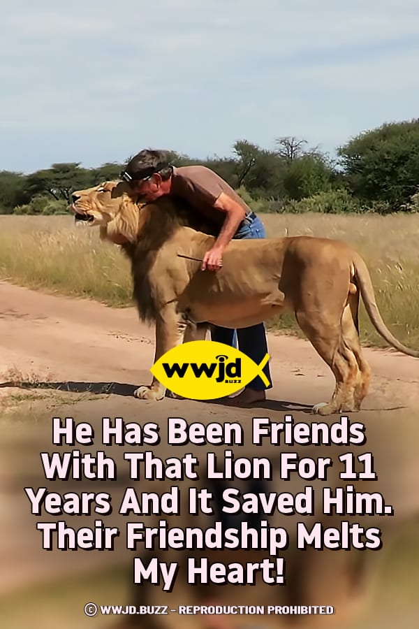 He Has Been Friends With That Lion For 11 Years And It Saved Him. Their Friendship Melts My Heart!