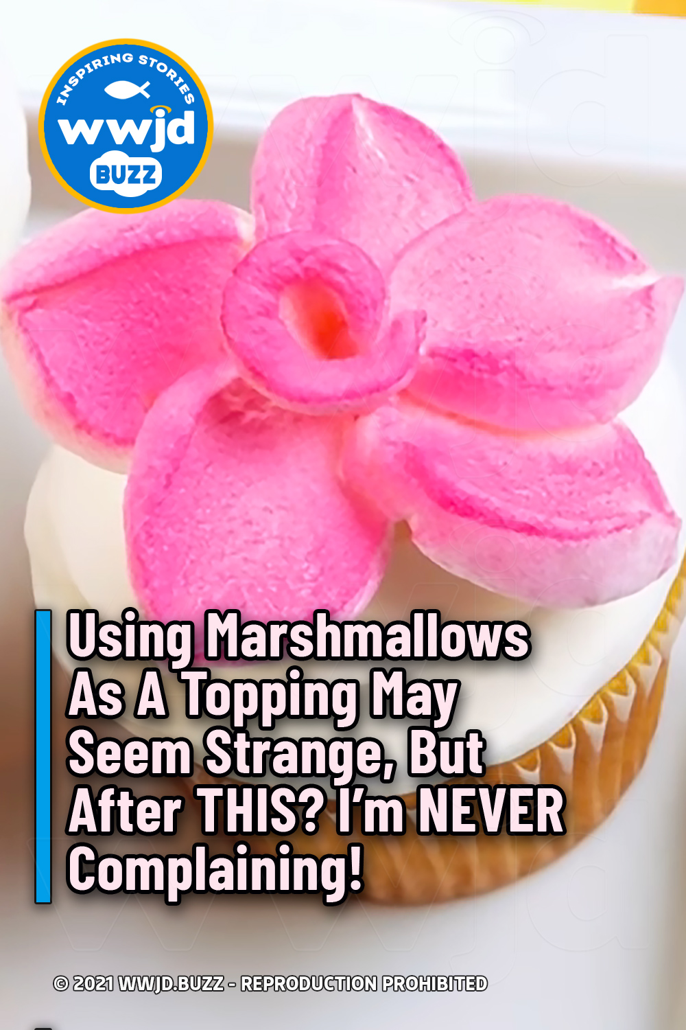 Using Marshmallows As A Topping May Seem Strange, But After THIS? I\'m NEVER Complaining!