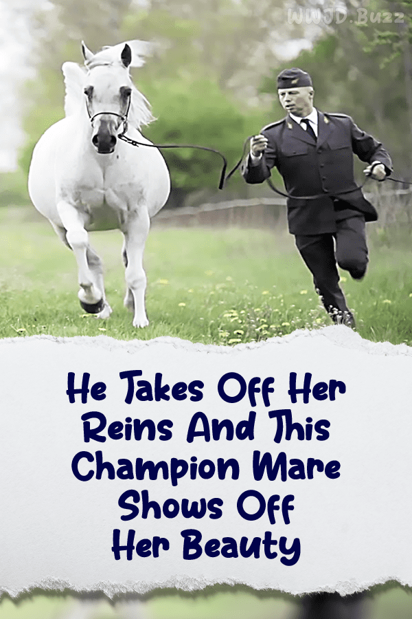 He Takes Off Her Reins And This Champion Mare Shows Off Her Beauty