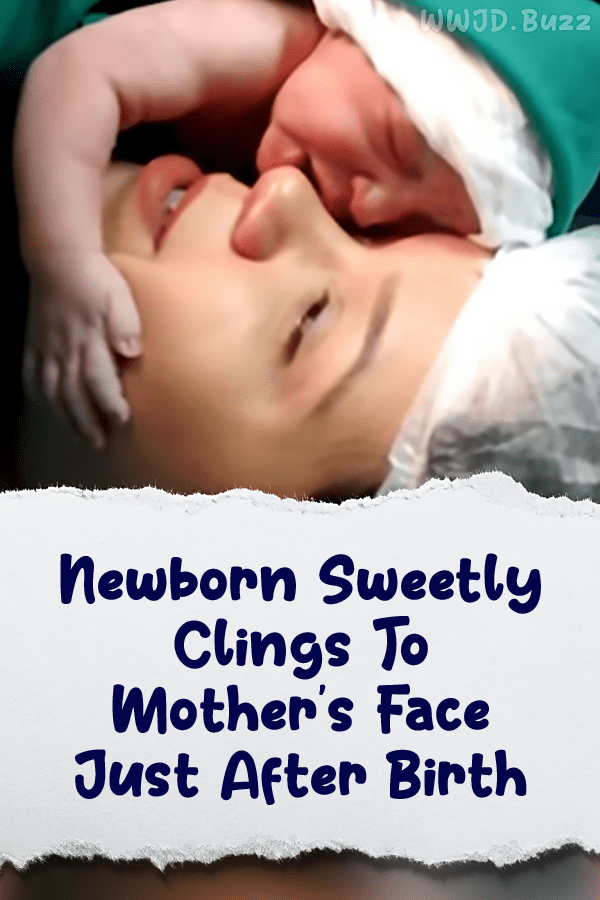 Newborn Sweetly Clings To Mother\'s Face Just After Birth