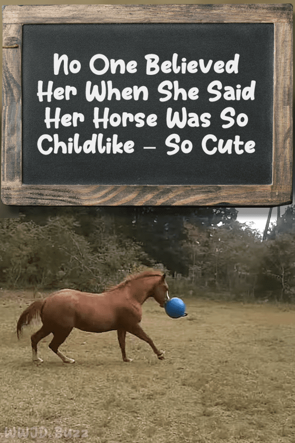 No One Believed Her When She Said Her Horse Was So Childlike – So Cute