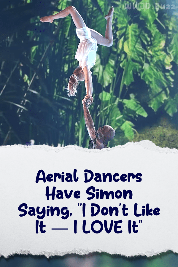 Aerial Dancers Have Simon Saying, \'\'I Don\'t Like It — I LOVE It\