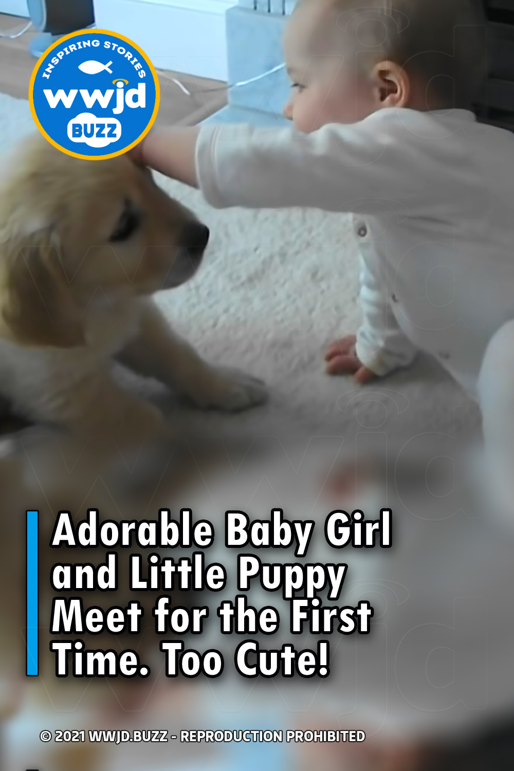 Adorable Baby Girl and Little Puppy Meet for the First Time. Too Cute!