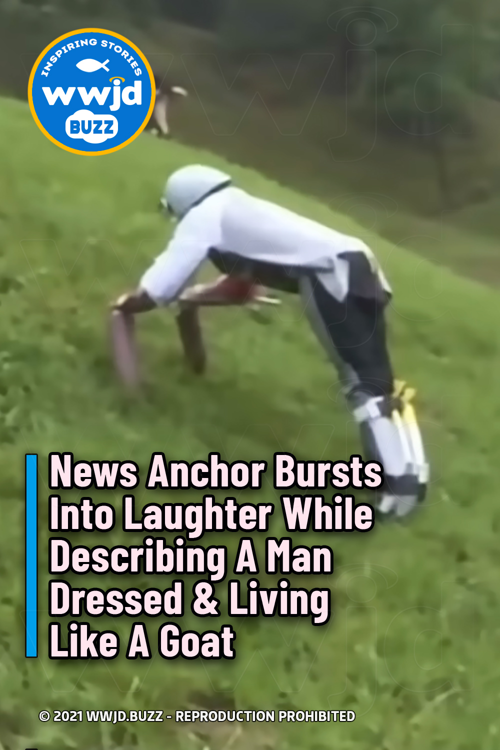 News Anchor Bursts Into Laughter While Describing A Man Dressed & Living Like A Goat