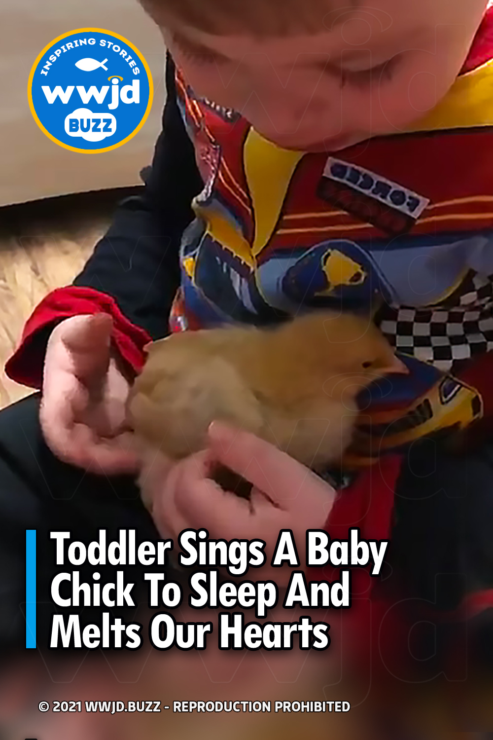 Toddler Sings A Baby Chick To Sleep And Melts Our Hearts