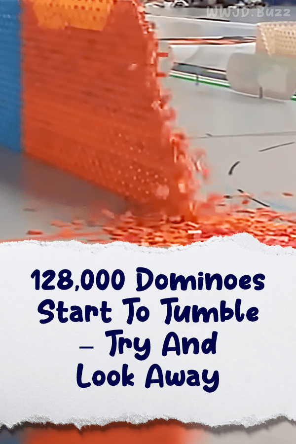 128,000 Dominoes Start To Tumble – Try And Look Away