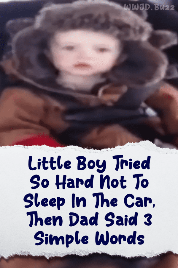 Little Boy Tried So Hard Not To Sleep In The Car, Then Dad Said 3 Simple Words