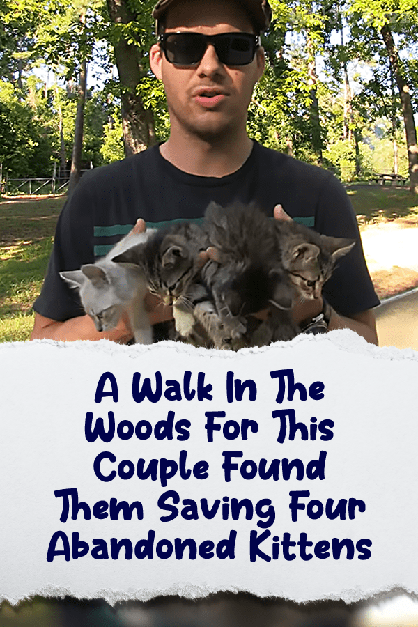 A Walk In The Woods For This Couple Found Them Saving Four Abandoned Kittens