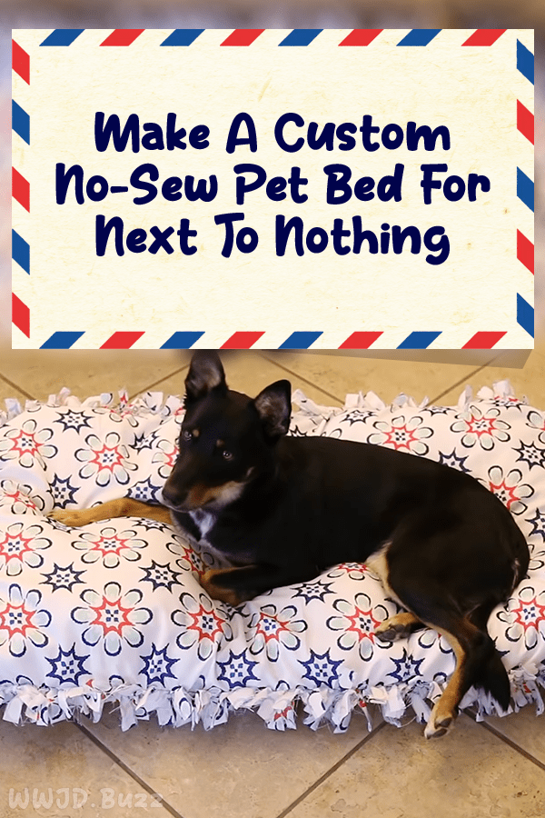 Make A Custom No-Sew Pet Bed For Next To Nothing