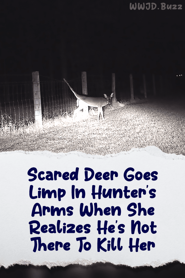 Scared Deer Goes Limp In Hunter’s Arms When She Realizes He\'s Not There To Kill Her