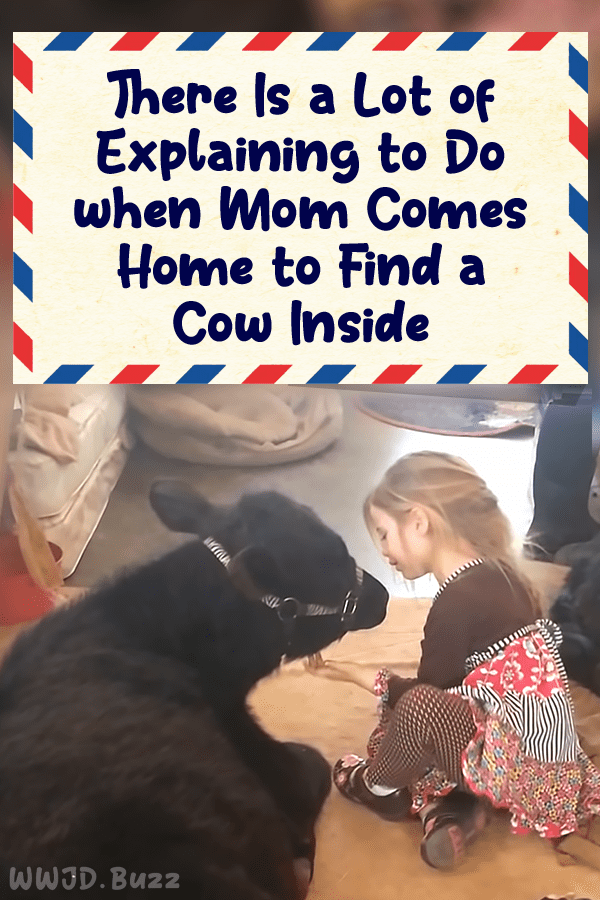 There Is a Lot of Explaining to Do when Mom Comes Home to Find a Cow Inside