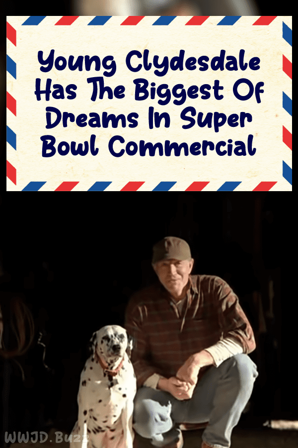 Young Clydesdale Has The Biggest Of Dreams In Super Bowl Commercial