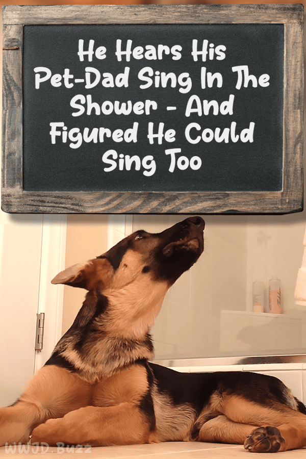 He Hears His Pet-Dad Sing In The Shower - And Figured He Could Sing Too