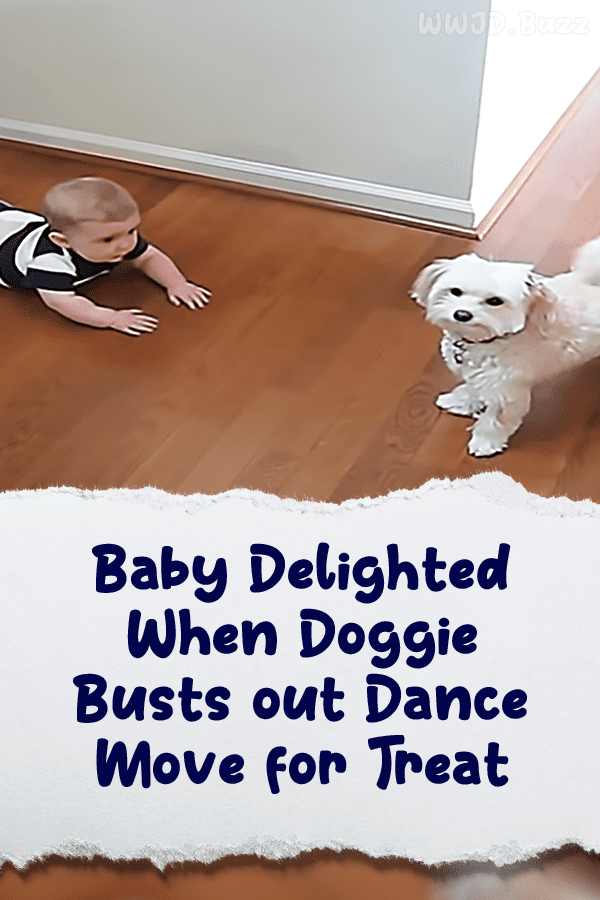 Baby Delighted When Doggie Busts out Dance Move for Treat