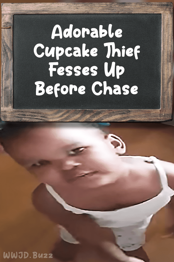 Adorable Cupcake Thief Fesses Up Before Chase