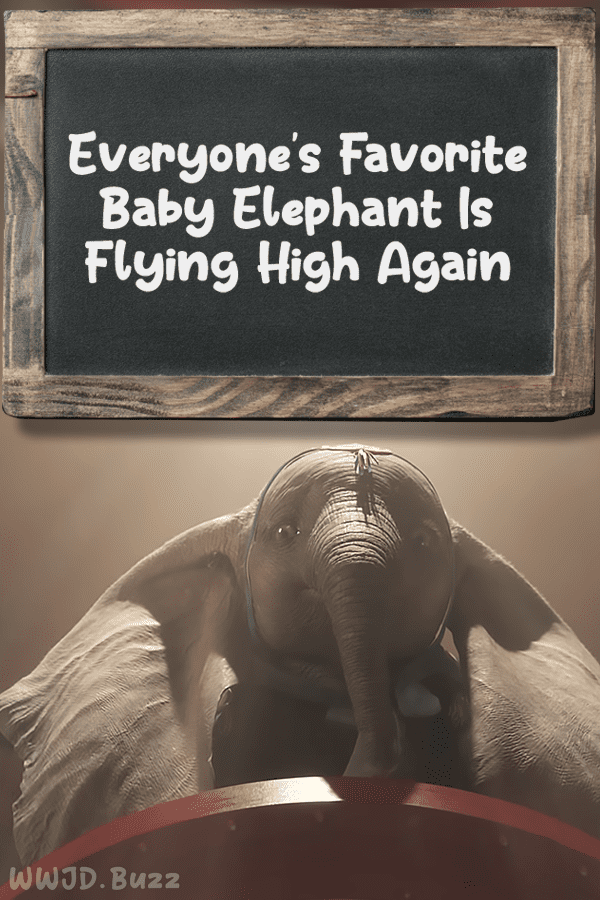 Everyone\'s Favorite Baby Elephant Is Flying High Again