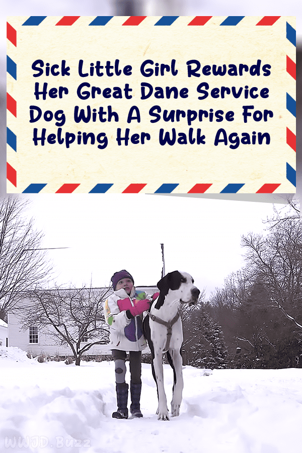 Sick Little Girl Rewards Her Great Dane Service Dog With A Surprise For Helping Her Walk Again