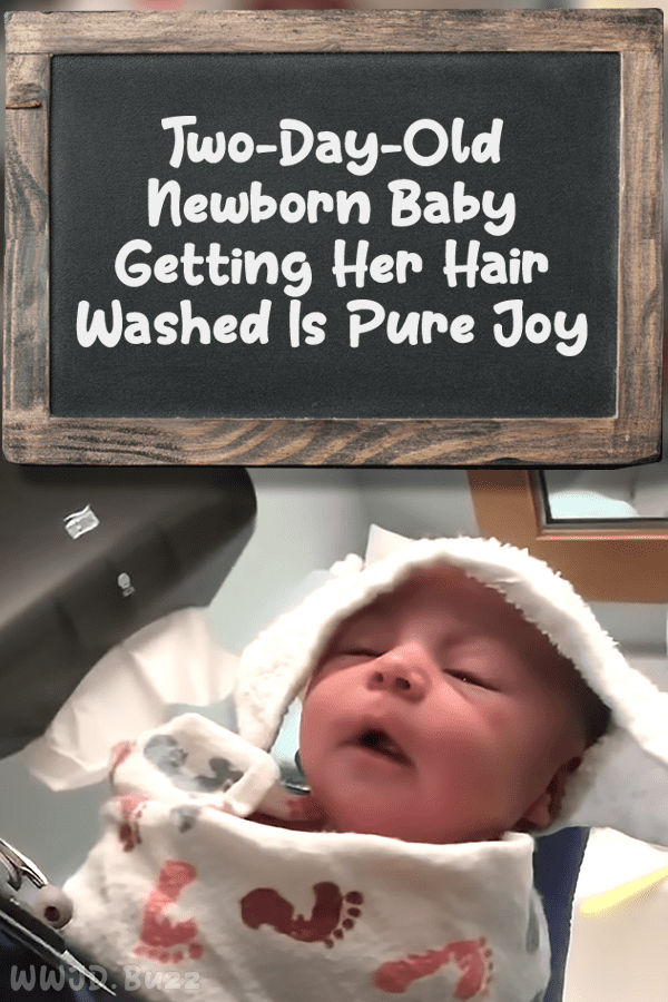 Two-Day-Old Newborn Baby Getting Her Hair Washed Is Pure Joy