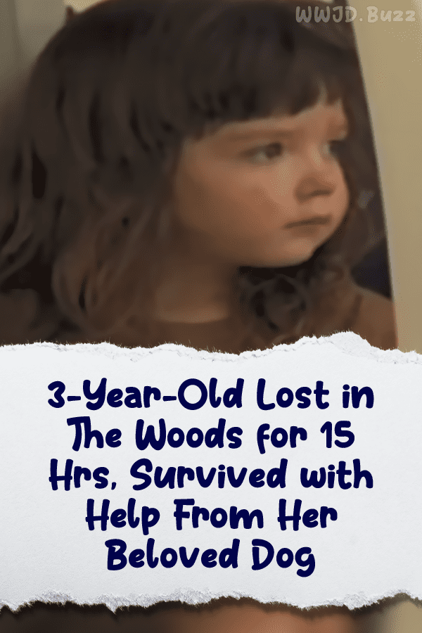 3-Year-Old Lost in The Woods for 15 Hrs, Survived with Help From Her Beloved Dog