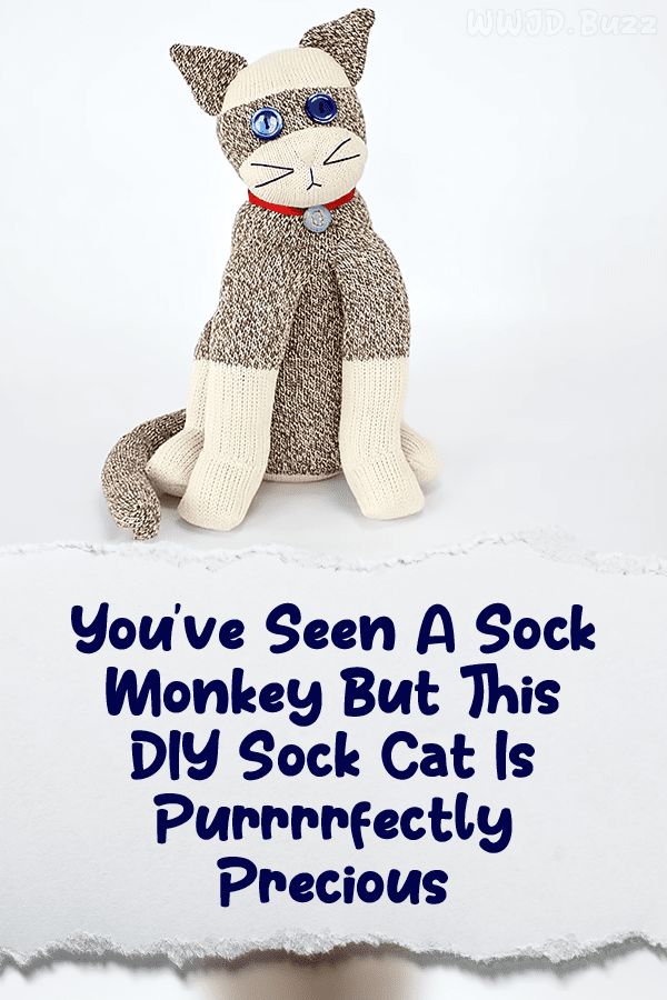 You\'ve Seen A Sock Monkey But This DIY Sock Cat Is Purrrrfectly Precious