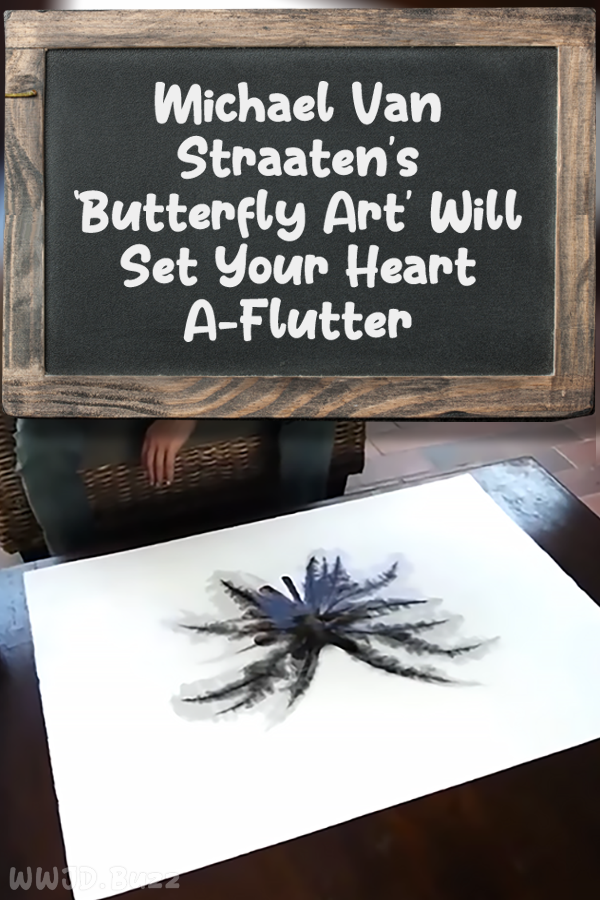 Michael Van Straaten\'s ‘Butterfly Art’ Will Set Your Heart A-Flutter