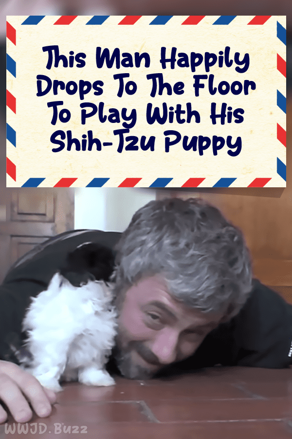 This Man Happily Drops To The Floor To Play With His Shih-Tzu Puppy