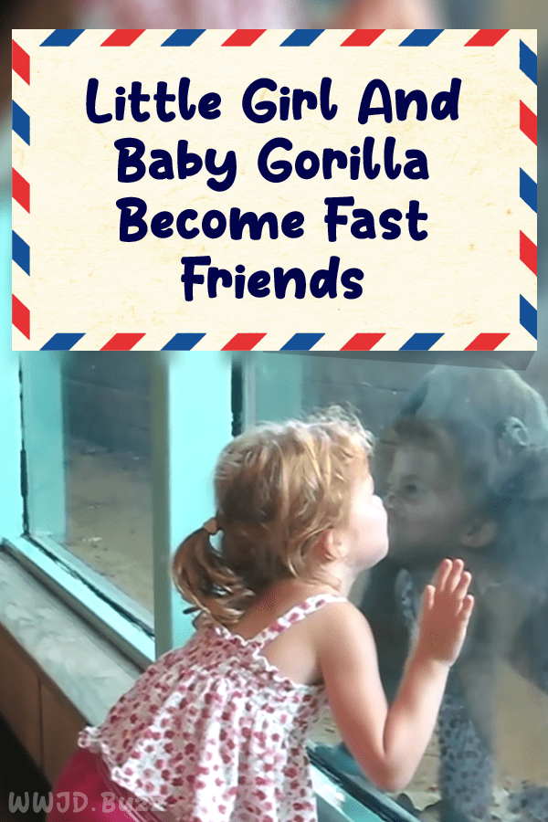 Little Girl And Baby Gorilla Become Fast Friends