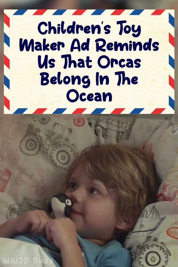 Children\'s Toy Maker Ad Reminds Us That Orcas Belong In The Ocean