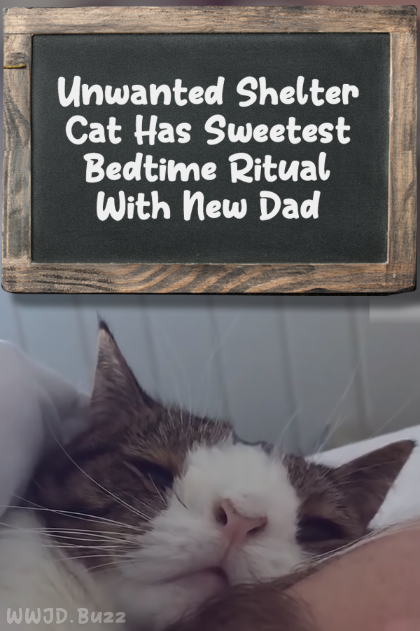 Unwanted Shelter Cat Has Sweetest Bedtime Ritual With New Dad