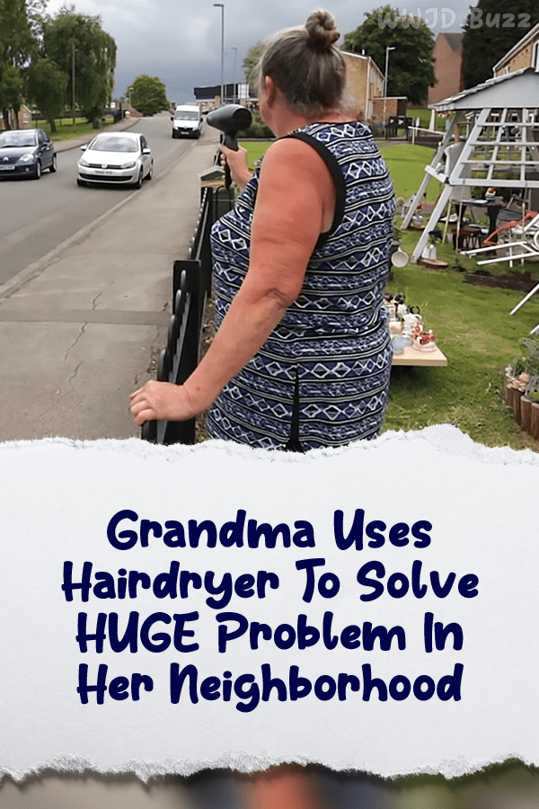 Grandma Uses Hairdryer To Solve HUGE Problem In Her Neighborhood