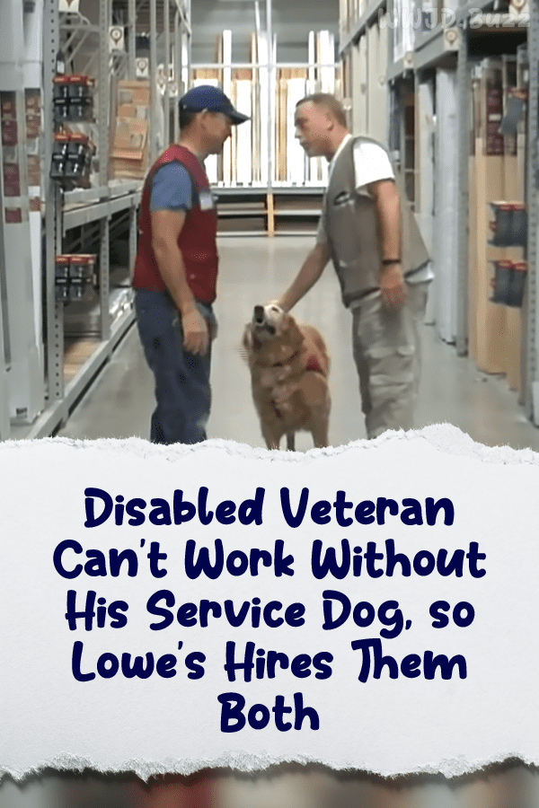 Disabled Veteran Can’t Work Without His Service Dog, so Lowe’s Hires Them Both