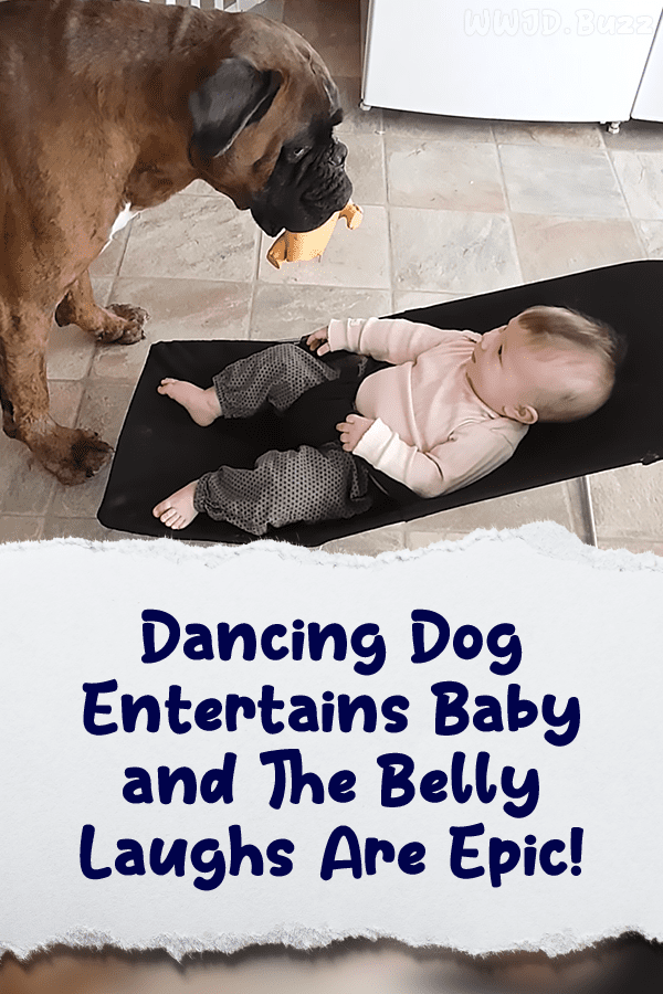 Dancing Dog Entertains Baby and The Belly Laughs Are Epic!