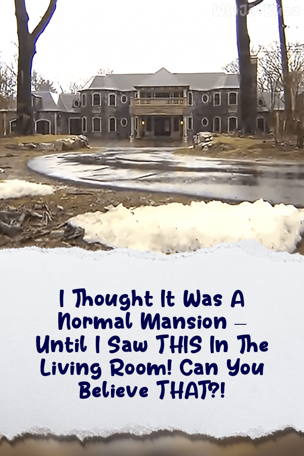 I Thought It Was A Normal Mansion – Until I Saw THIS In The Living Room! Can You Believe THAT?!
