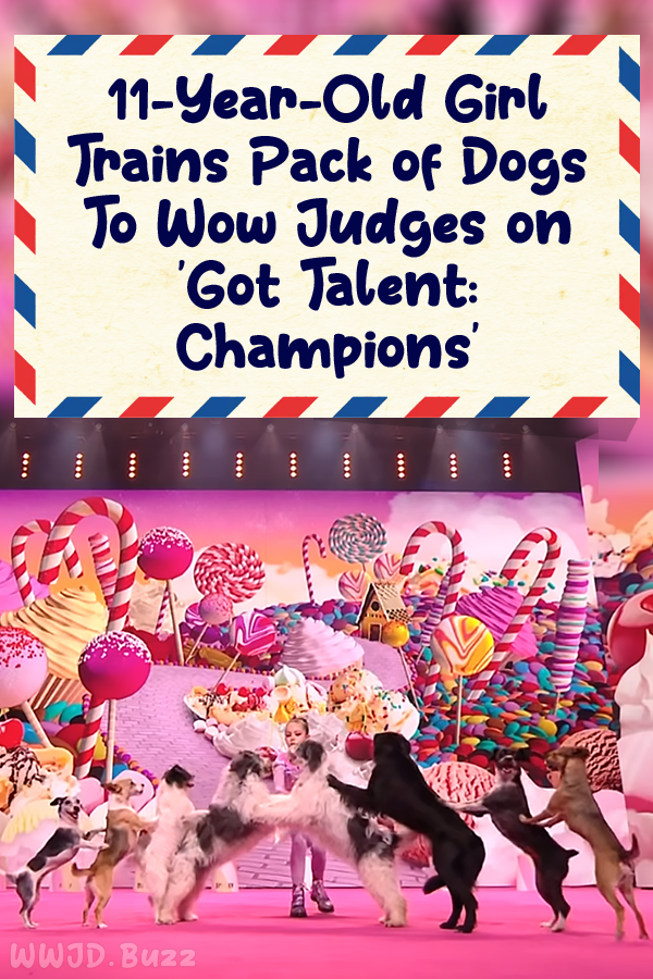 11-Year-Old Girl Trains Pack of Dogs To Wow Judges on \'Got Talent: Champions\'