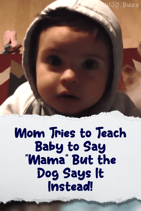 Mom Tries to Teach Baby to Say \