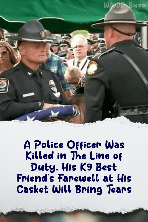 A Police Officer Was Killed in The Line of Duty. His K9 Best Friend\'s Farewell at His Casket Will Bring Tears