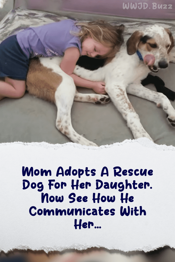 Mom Adopts A Rescue Dog For Her Daughter. Now See How He Communicates With Her…