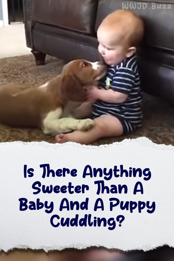 Is There Anything Sweeter Than A Baby And A Puppy Cuddling?