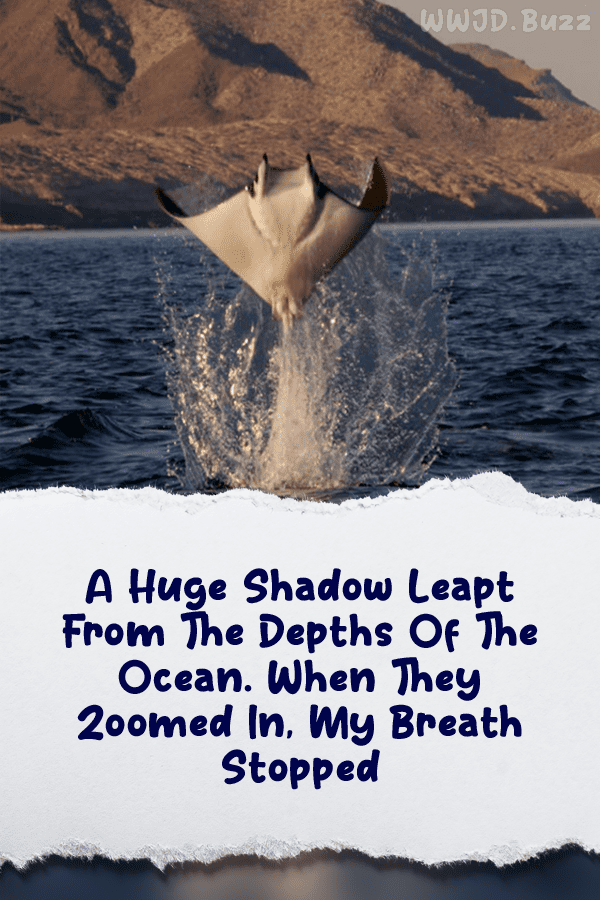 A Huge Shadow Leapt From The Depths Of The Ocean. When They Zoomed In, My Breath Stopped