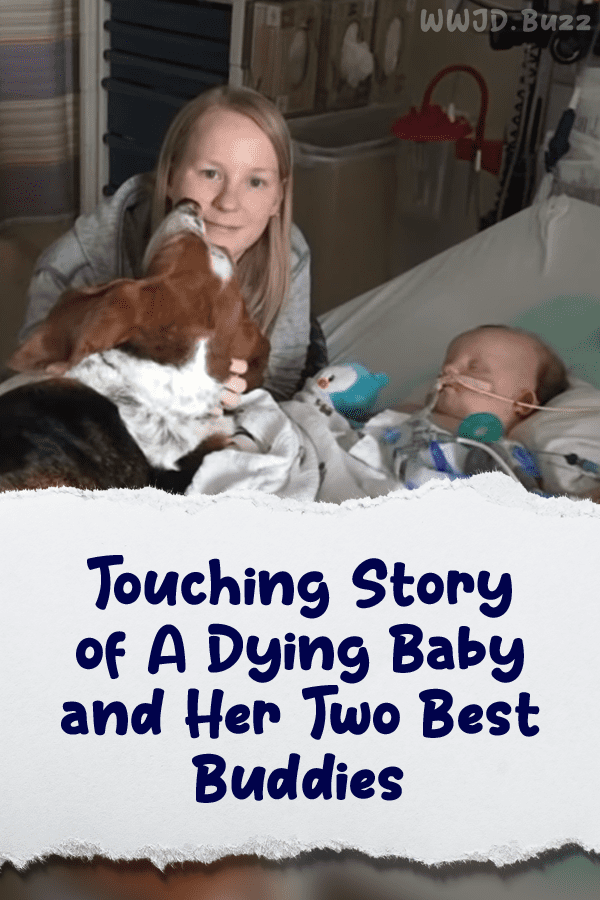 Touching Story of A Dying Baby and Her Two Best Buddies