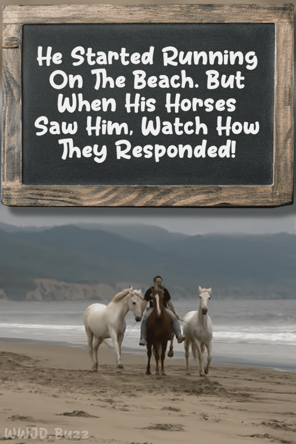 He Started Running On The Beach. But When His Horses Saw Him, Watch How They Responded!