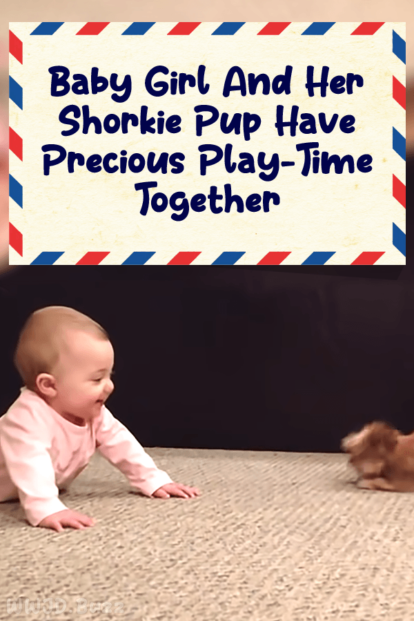 Baby Girl And Her Shorkie Pup Have Precious Play-Time Together